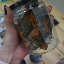 도그(DOGUE) 이미지