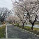 오수시장 이미지