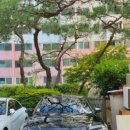 나주대여카 이용 후기! 송월동에서 A6 배회차로 편하게 이용했어요