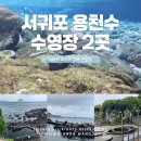 소남머리 | [제주/서귀포] 제주도 비 오고 바람 부는 날, 물놀이 가능한 스팟 2곳 (용천수)