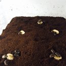 만경농장 이미지