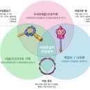 [KBS] '매직키드마수리' 마법도구소개 (마법목걸이&마법팔찌) 이미지