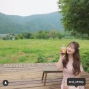 자연상회 이미지