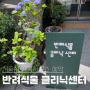 공공용 65 | 서울특별시 공공서비스 반려식물클리닉 후기 (동대문구)