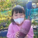 유안 이미지