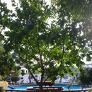 동화카라반 이미지