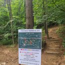 우면산5-4 이미지