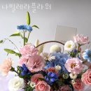 나빌레라플라워