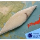 수산물/ 황새치 뱃살 부적합 안내 (5월 26일 기준) 이미지