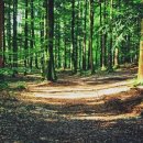 스타한방병원 이미지