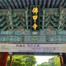 골목식당 | (영광) 대한민국 반값여행 영광 여행1