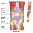 명성한의원 이미지