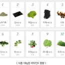 비타민K 네이버블로그