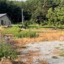 프롬도마 이미지