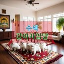 수색동물병원 | 수색 강아지입양 예산 200만 원으로 시작한 나의 탐구기