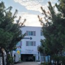 기사문항(회센터) | 양양스쿠버다이빙 기사문항에서 바로 즐기는 38스쿠버