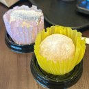 모찌의숲