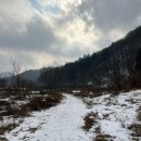 길업 | 용인 길업습지의 겨울