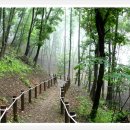 충북알프스자연휴양림 이미지