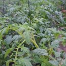 해순농장 이미지