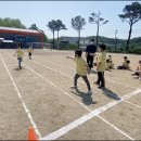 서선초교 이미지