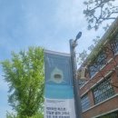 해맑은약국 | 20260517 국립현대미술관 데이미언 허스트전 관람 후기