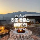 [하동감성숙소] 금향다원 솔이방. 촌캉스 컨셉 하동힐링 가성비 숙소. 나만 알고 싶은 곳