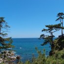 당신만을 위한 길 이미지