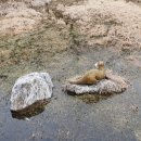 신상동 인공습지 네이버블로그