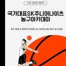 국가대표SK주니어나이츠농구아카데미 | 김포농구교실 농구 꿈나무들을 위한 첫걸음, 국가대표SK주니어나이츠농구아카데미