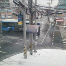 성서교통 이미지