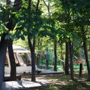 DMZ캠핑장 이미지