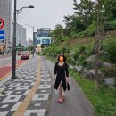 장터생고기전문점 이미지