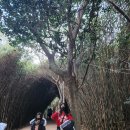 오동도 산책로입구 이미지