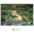 호수공원6로 이미지