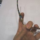 르망안경 이미지