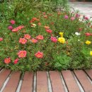 가양동천주교회 이미지