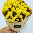 여주-1120 이미지