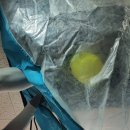 대저초등학교 이미지