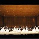 클릭 국악속으로 이미지