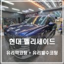 포니카디테일링