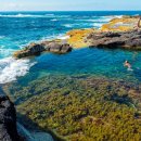 muscle paradise 이미지