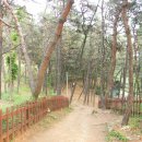 광주이씨광릉부원군파묘역 이미지