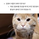 @ 냄비는 애용..한번하고 집사는 레쓰두잇~김냄비펌피럽냄비펌피럽오케이 이미지