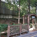 압구정-206 이미지