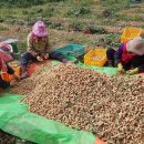 땅콩푸드 이미지