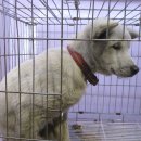 감천항로 이미지