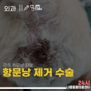 문산 동물병원 이미지