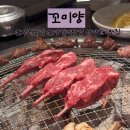 오뚜기식당 | 부천 양갈비 맛집 꼬미양 스프링램 세트 가성비 부천 룸 식당 후기