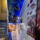 역삼-1280 | [후기] 역삼역 참치 맛집 역삼동 참치